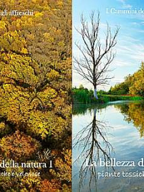 Botanica_03