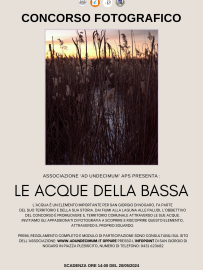 LE ACQUE DELLA BASSA (3)