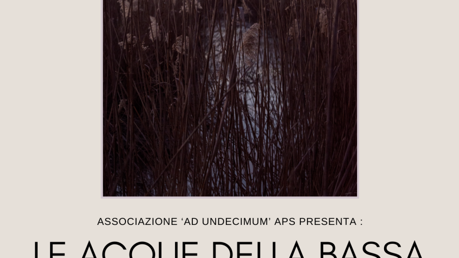 LE ACQUE DELLA BASSA (3)