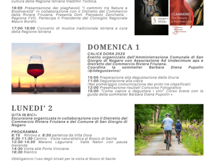LOC AD11 ITINERANNIA 2025 (Medium)